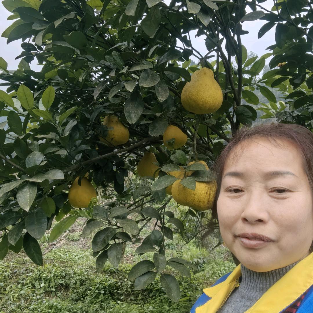 姐就是姐