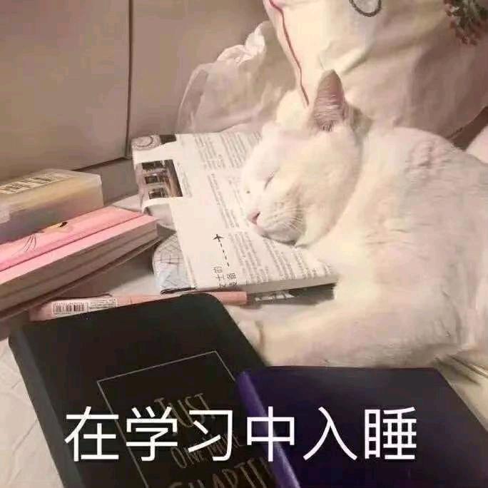 榴月头像