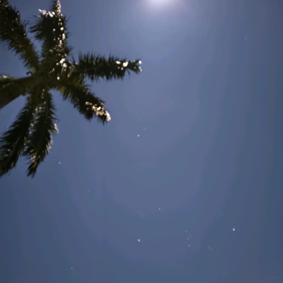 🌈让我中一次吧🌈