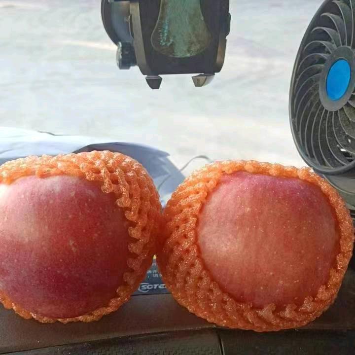 春来秋往