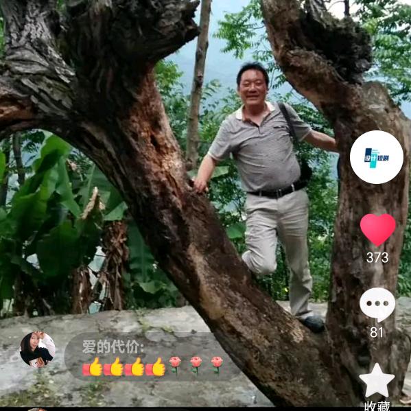 设计人生
