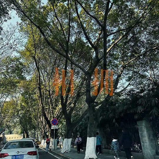 爱我的啊