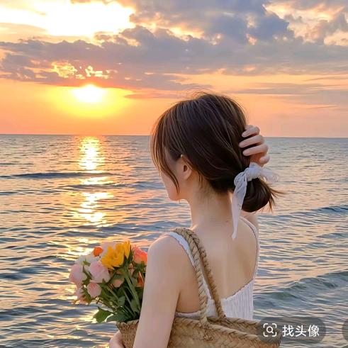 江小布丁之飞鸿