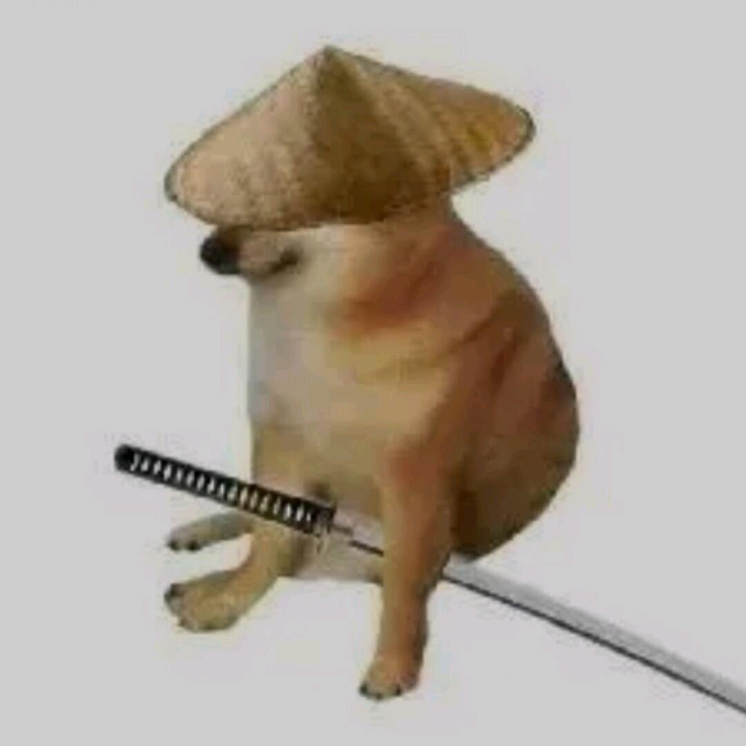大黄的妙妙wu~