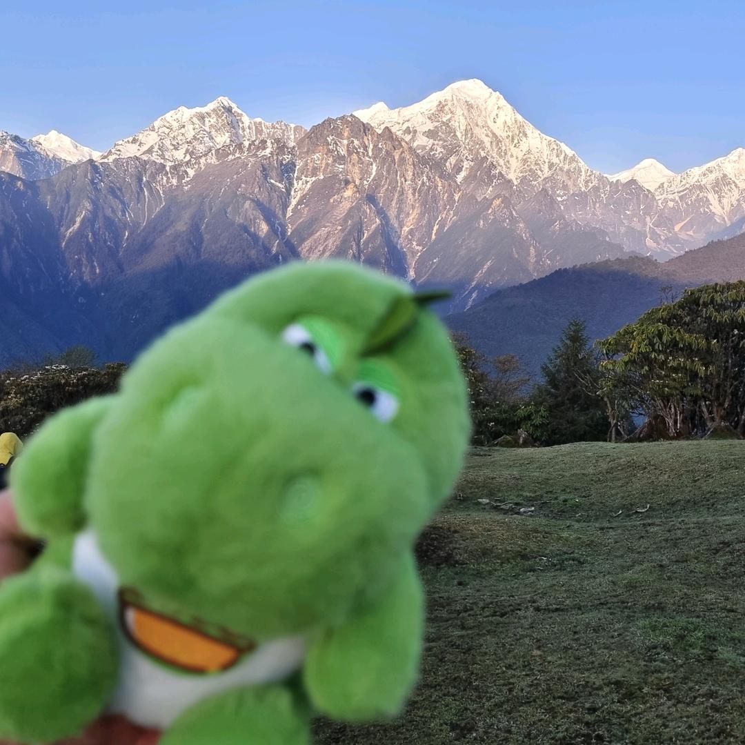 夏大宝的旅途