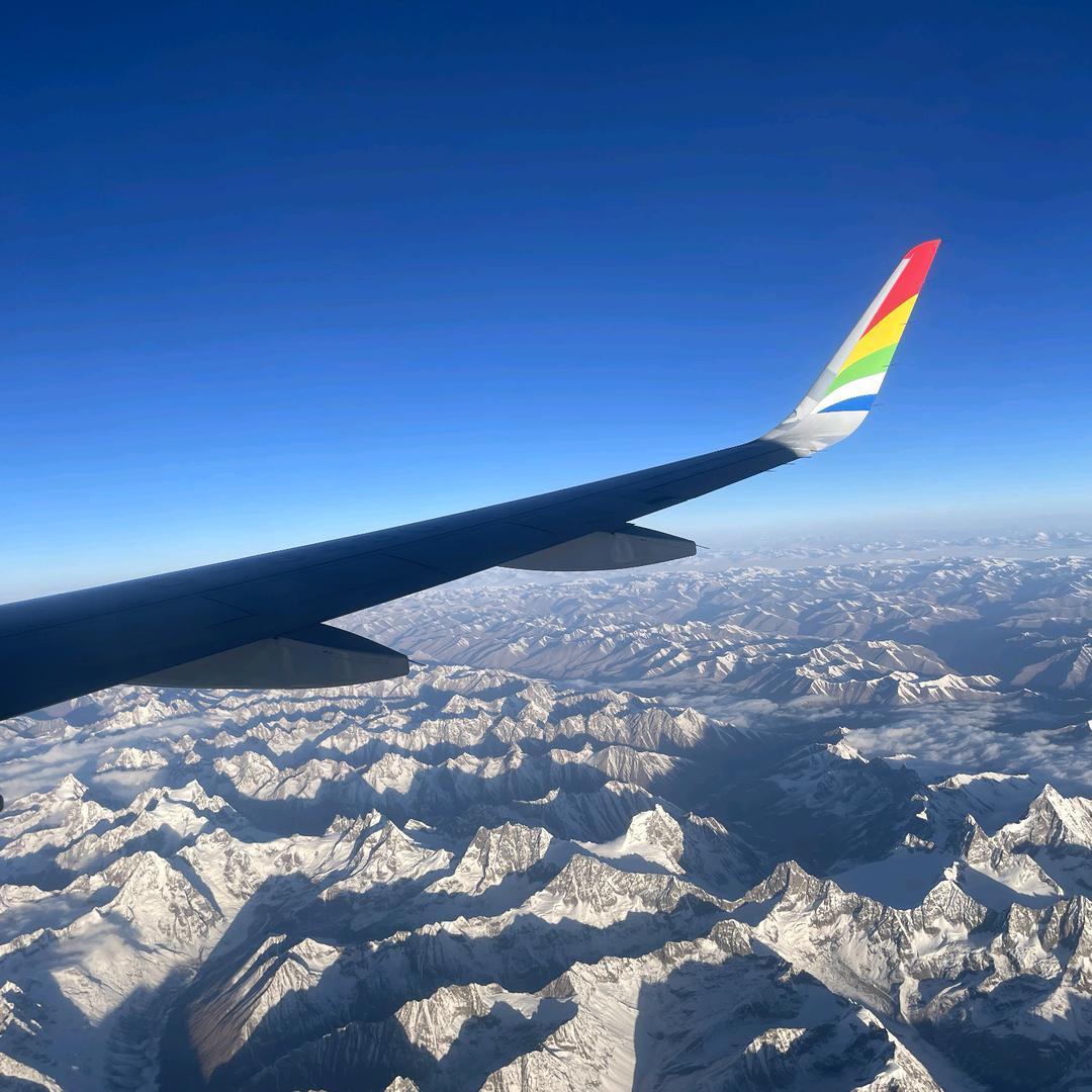 溪馥茗璞®️安吉白茶……陆建坤