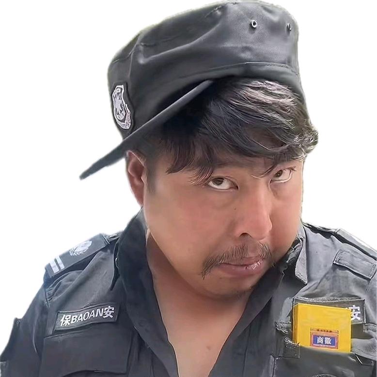 长风破浪会有时