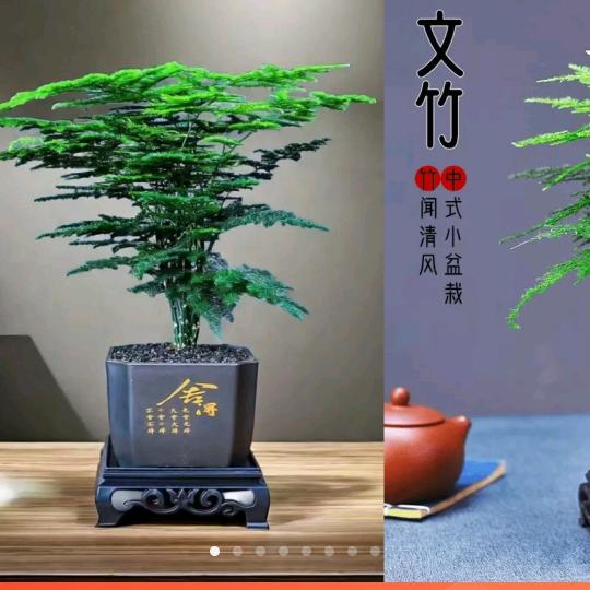 喜欢夏天