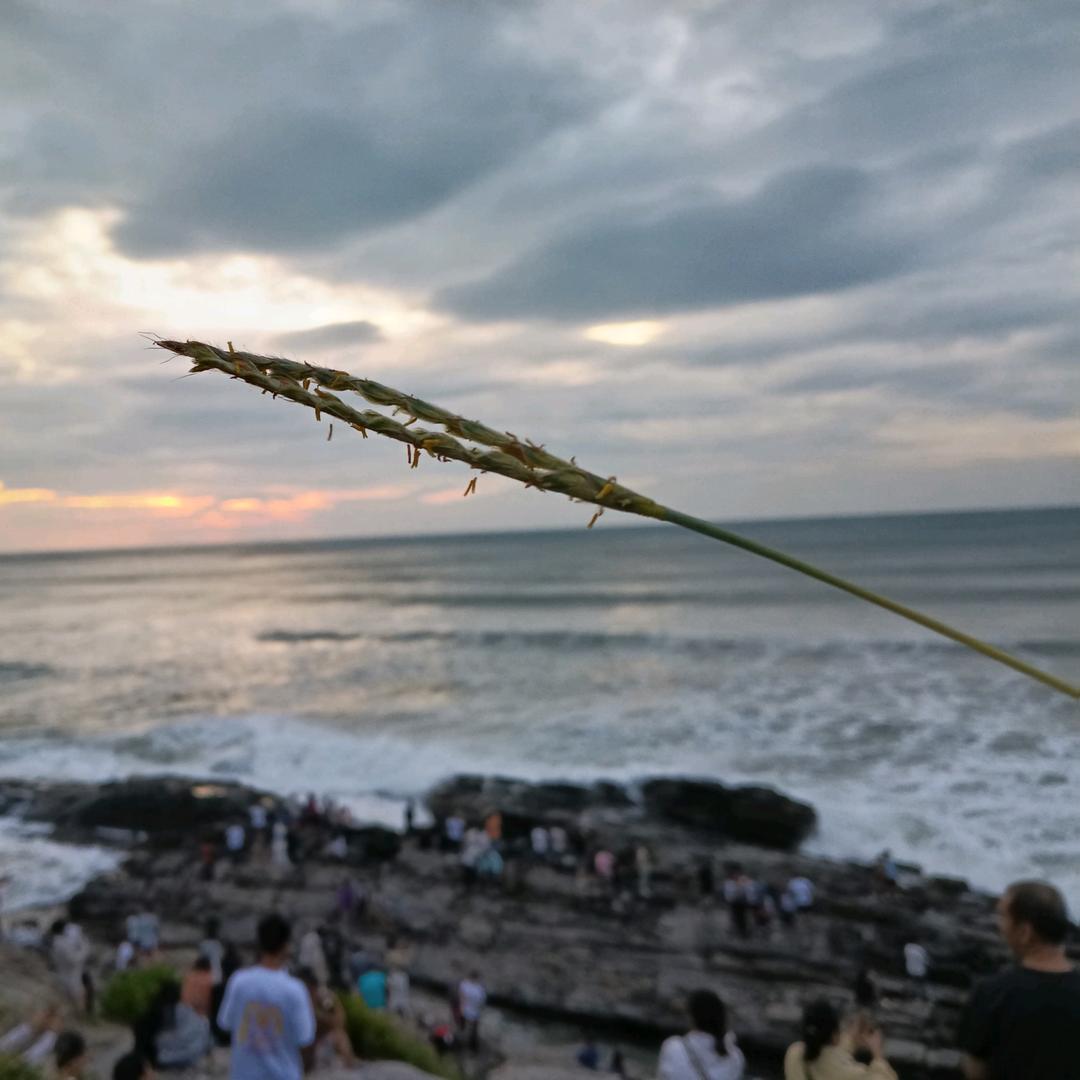 飞法法