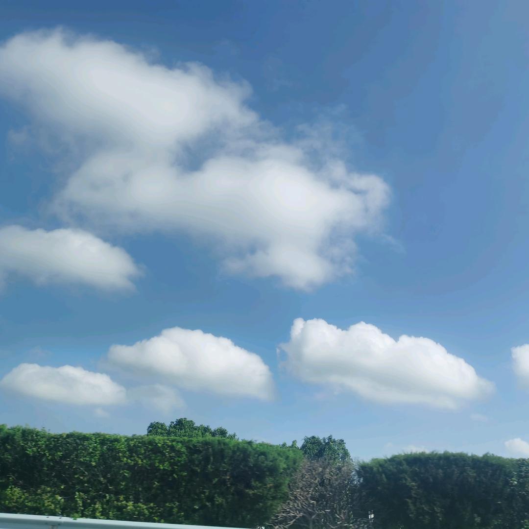 小鼹鼠的爸爸