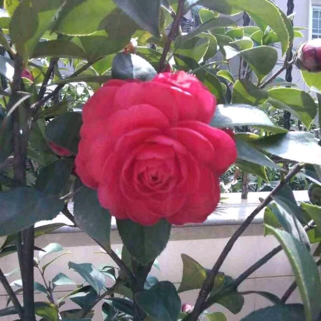 小艾💖