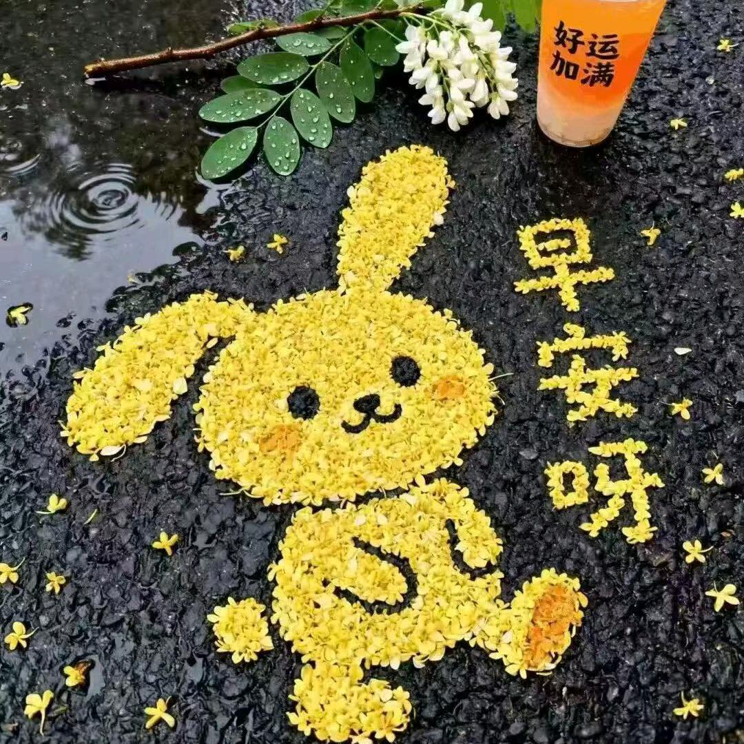 ꧔Ꭽ⃨ꫀ᭄꯭婼不在乎の怎心痛꧔ꦿ