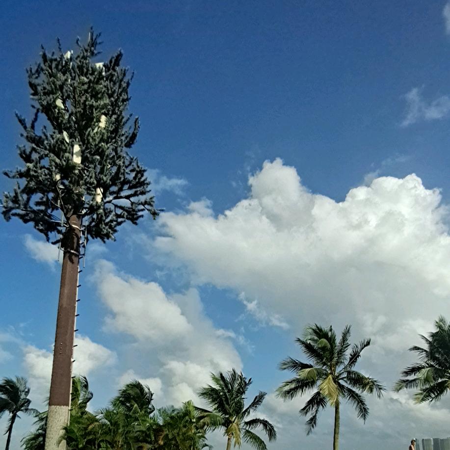 浏阳人在香港