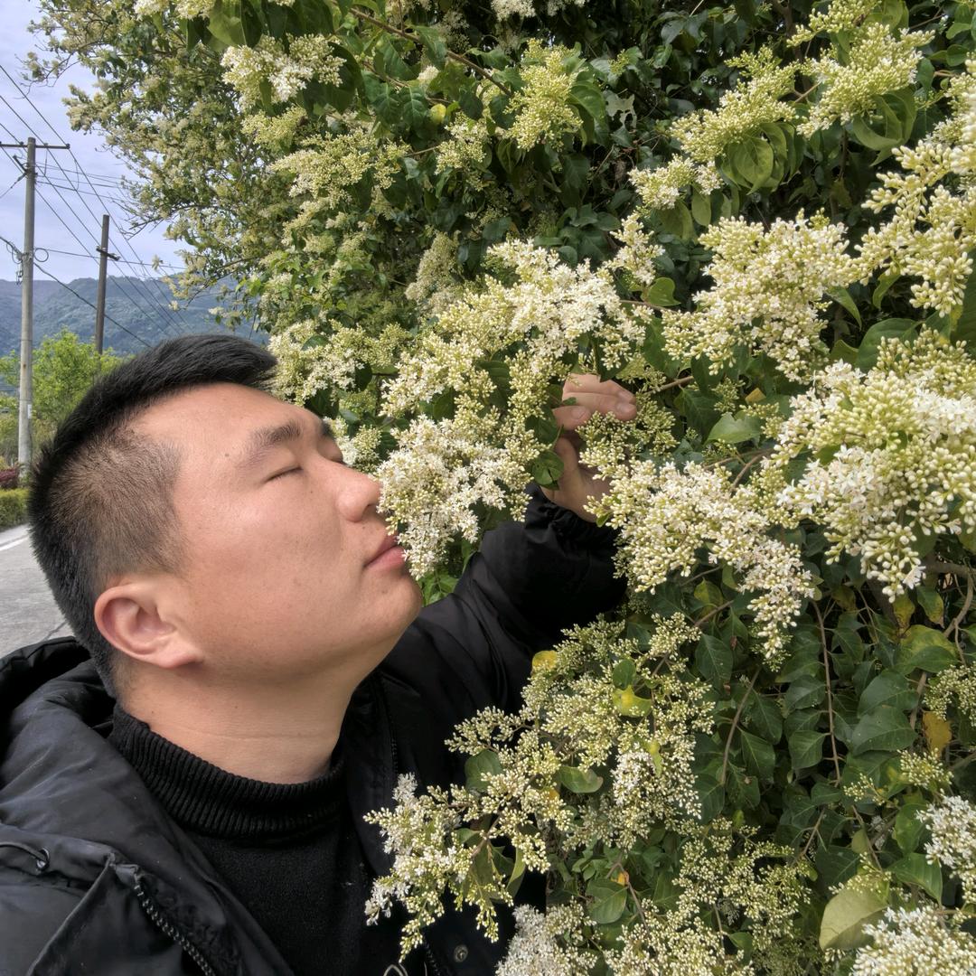 水木星河