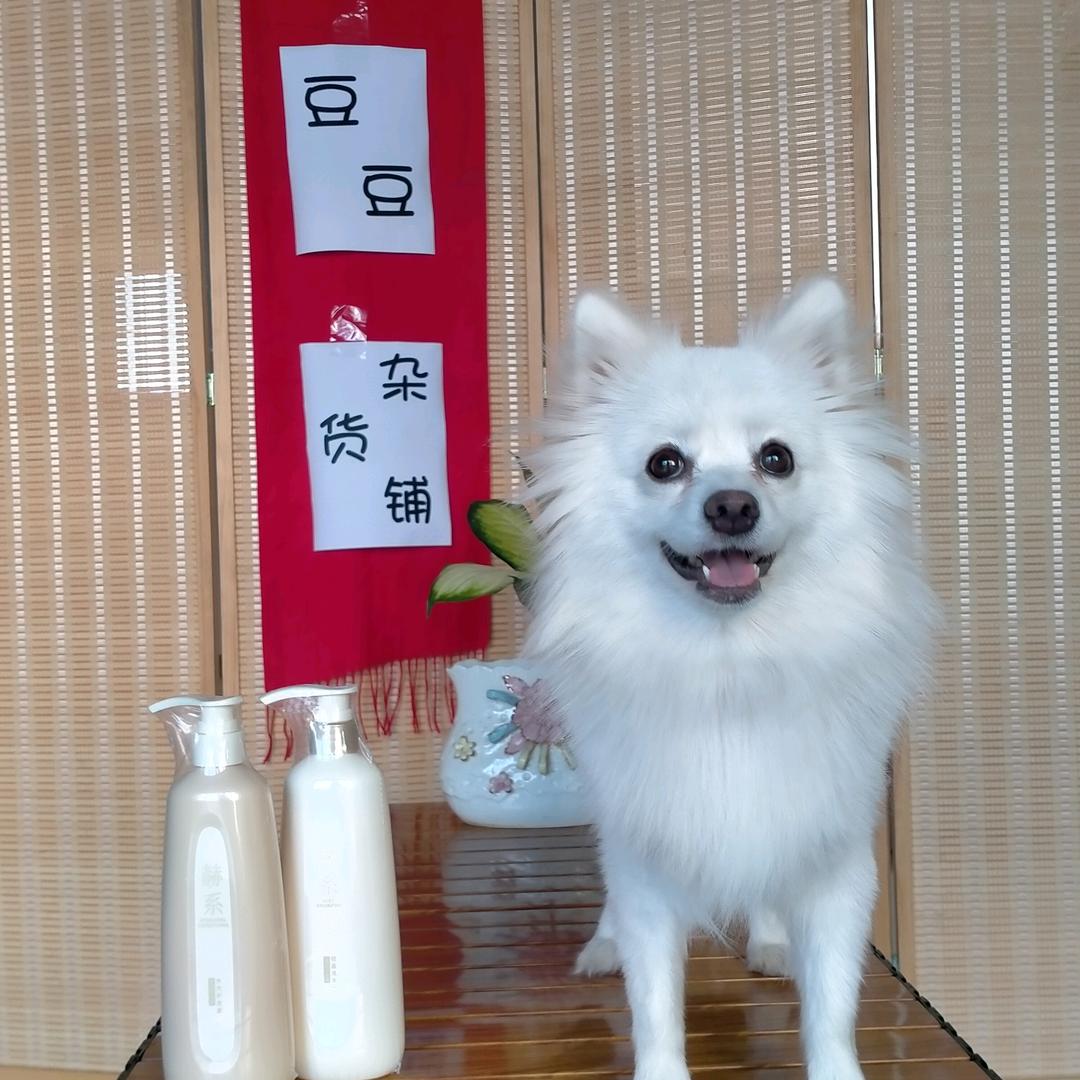 宁晋金管家装饰