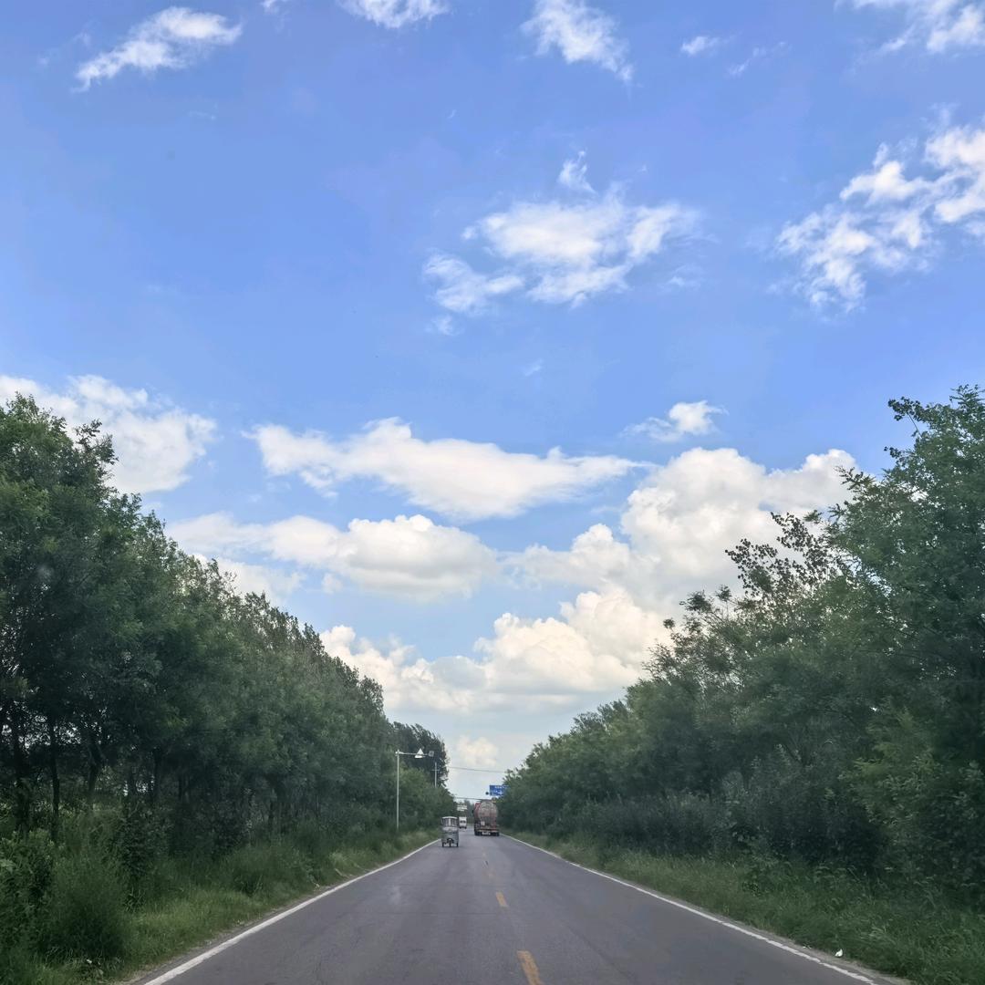 宇哥不胖