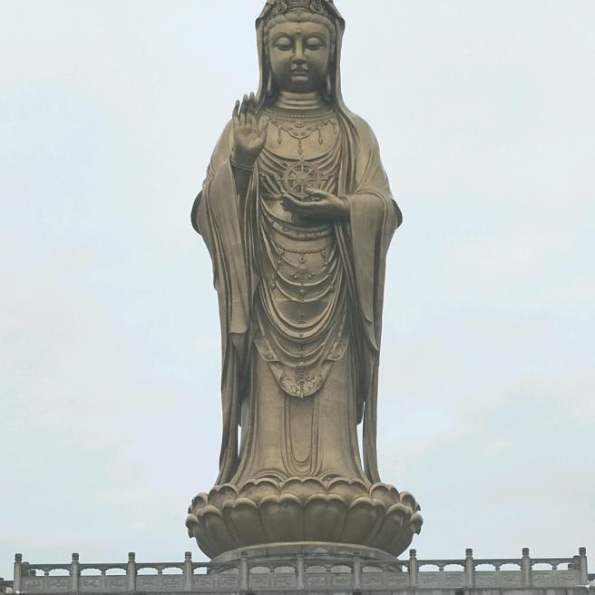 钓者仁心