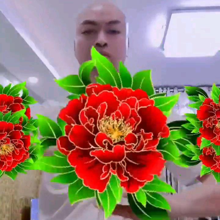 你的手势和花类特效库