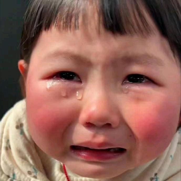 什么都不董先生