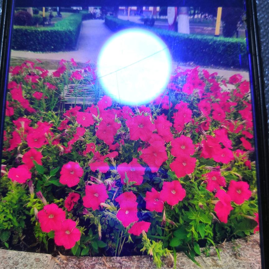 难得糊涂