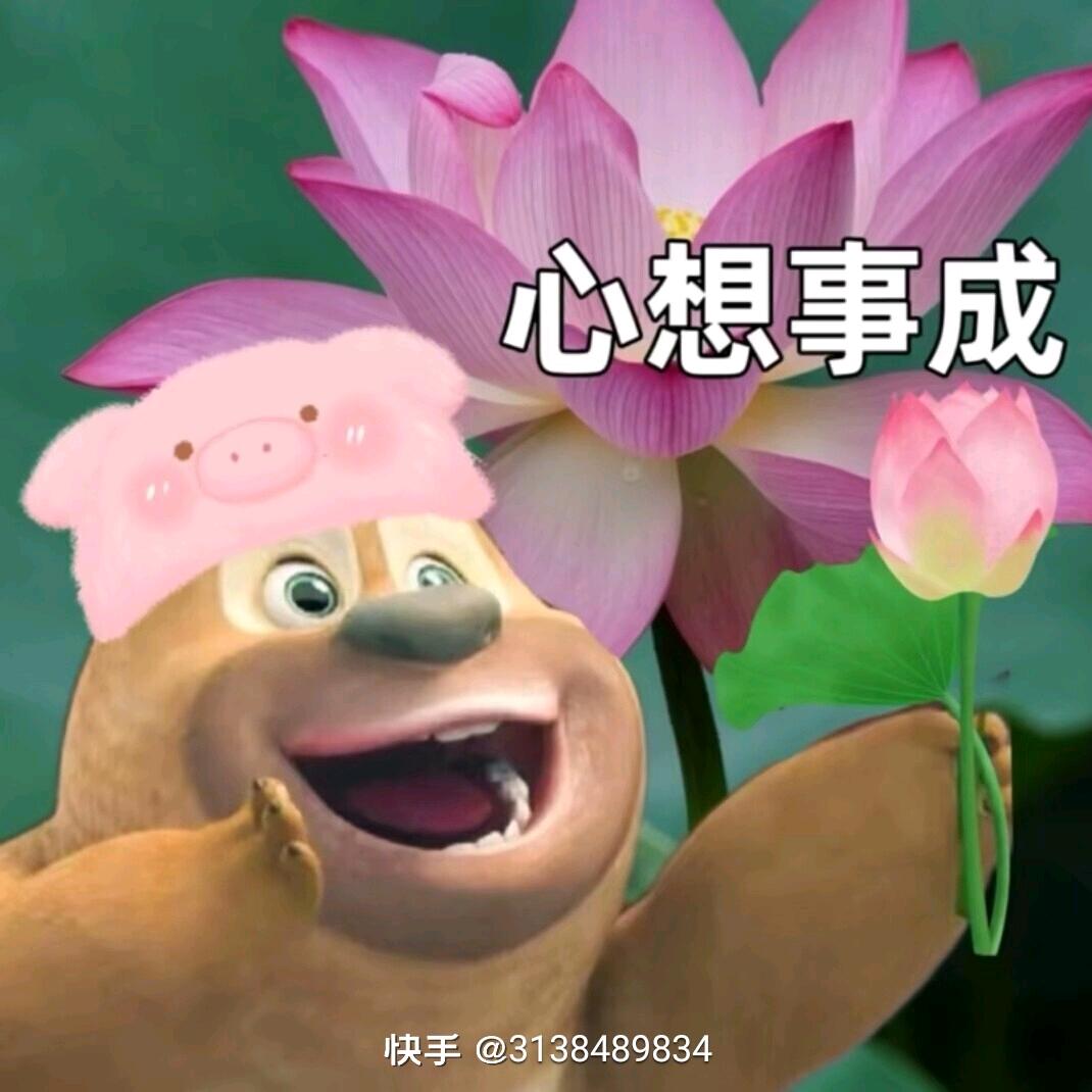 空中的一轮明月