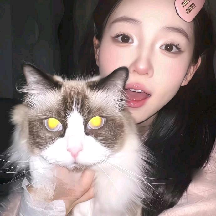 念橙栀