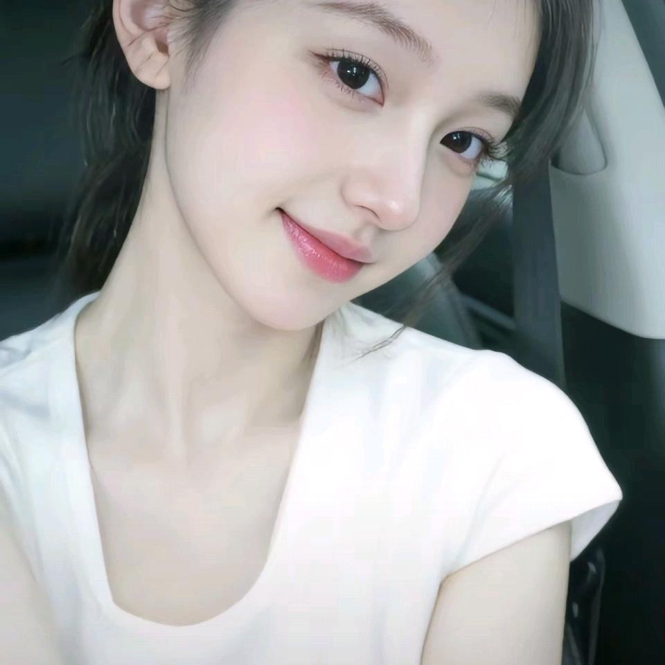 薇薇猫