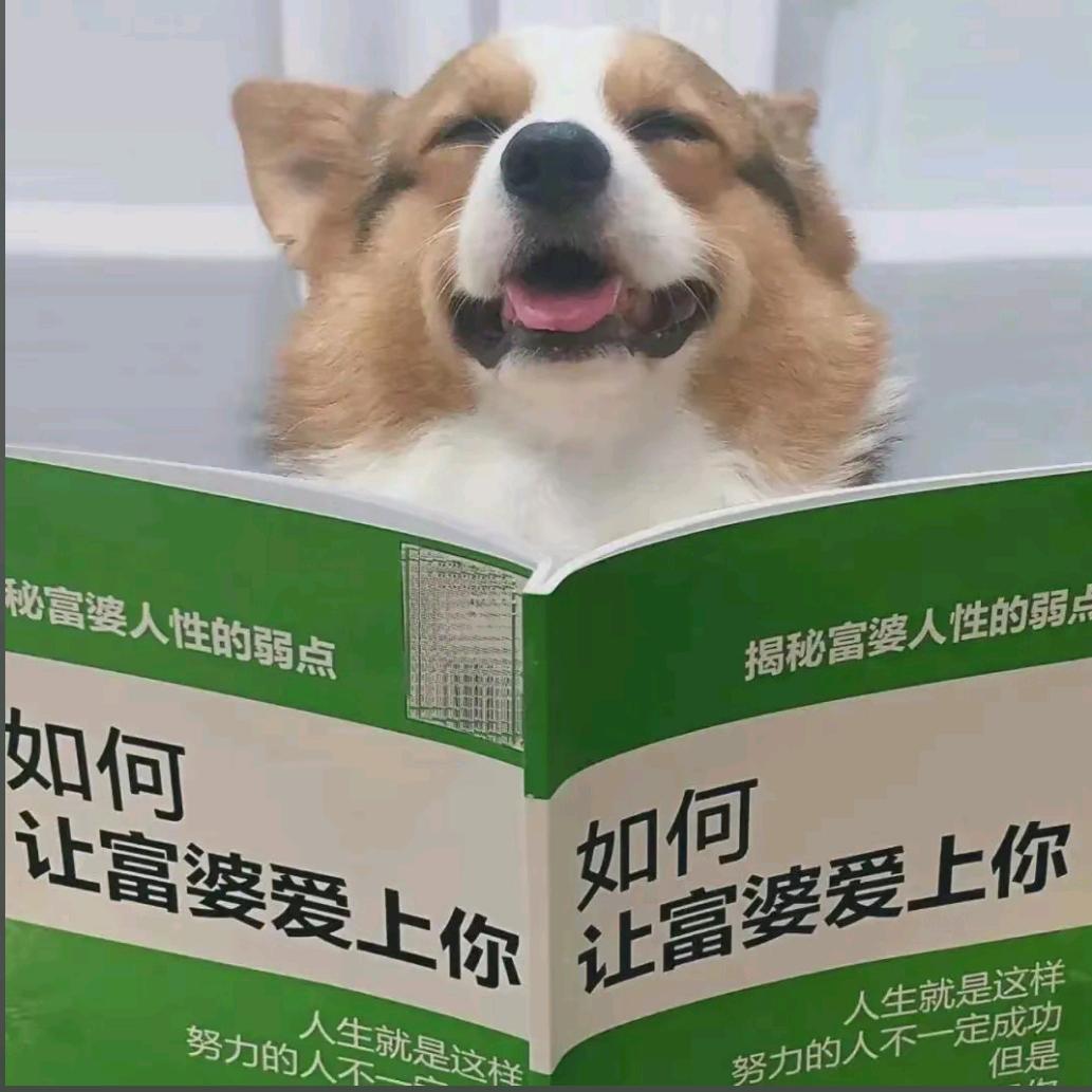 期待那位的到来