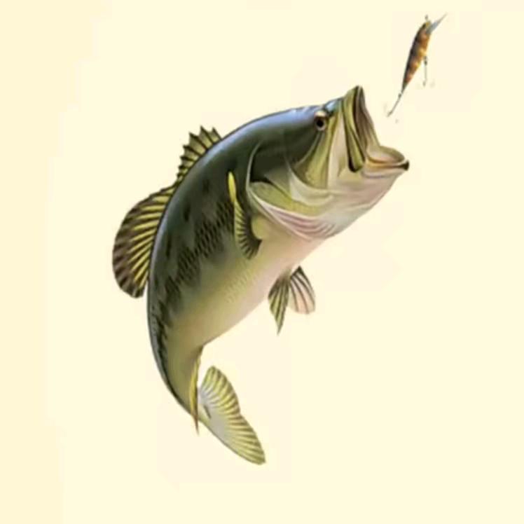老夫子🎣