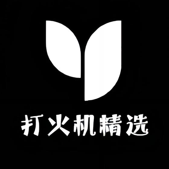 打火机精选2号店
