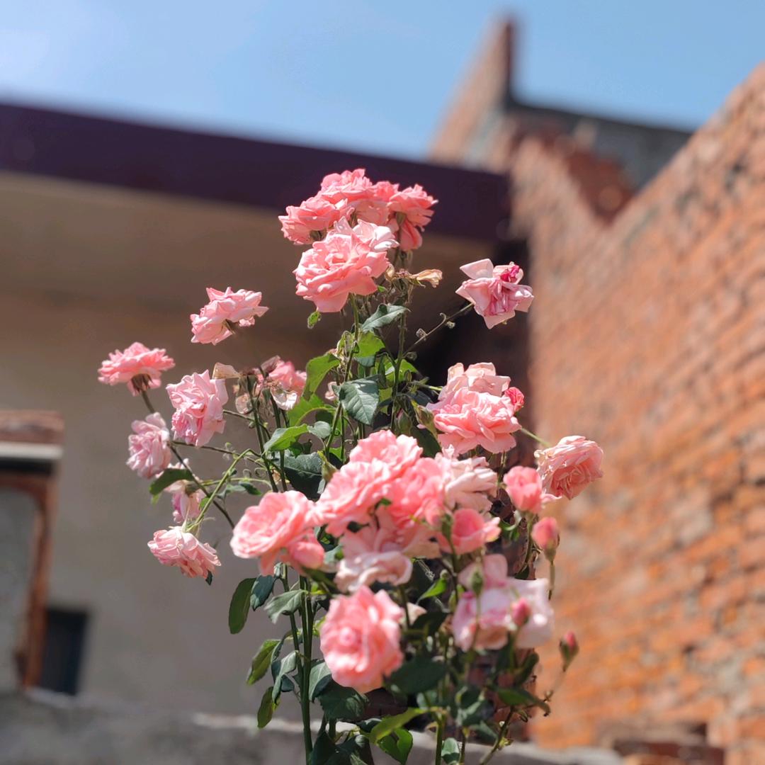 ꫛ᭄有你💞超田ꦿ້໌ᮨ࿐