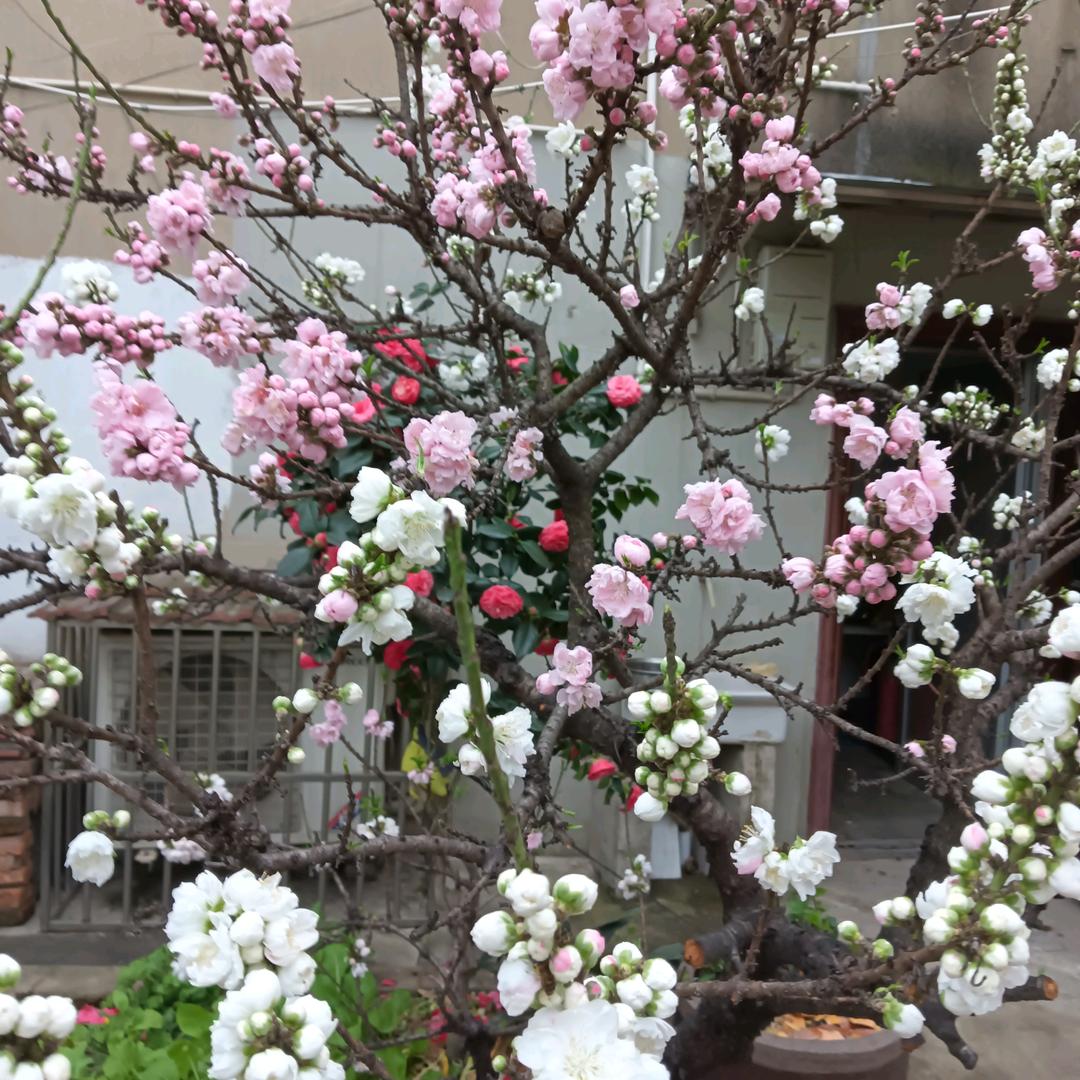 幸福美满