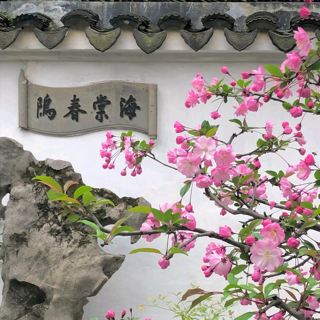 心选好物-