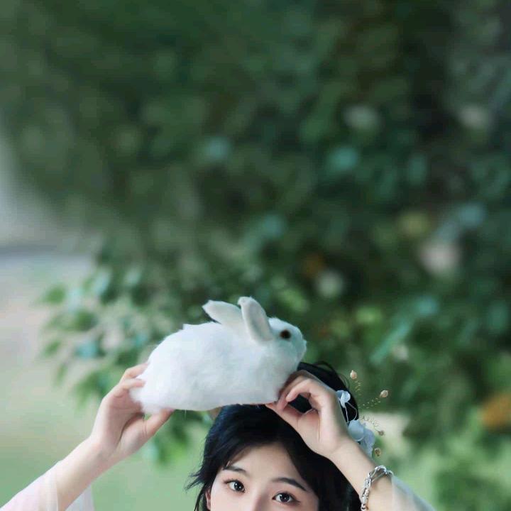 雪猫