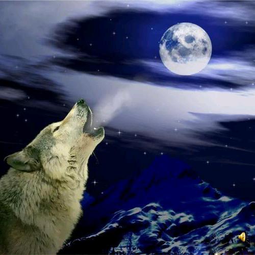 相逢何必曾相识*#*&