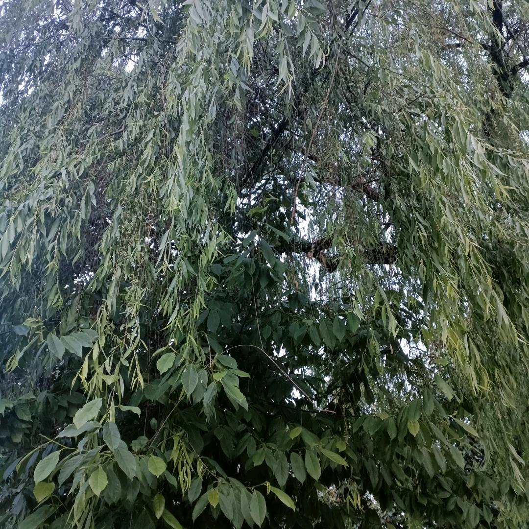 @心中再无意中人💔