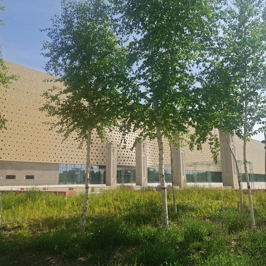 在线只为等你