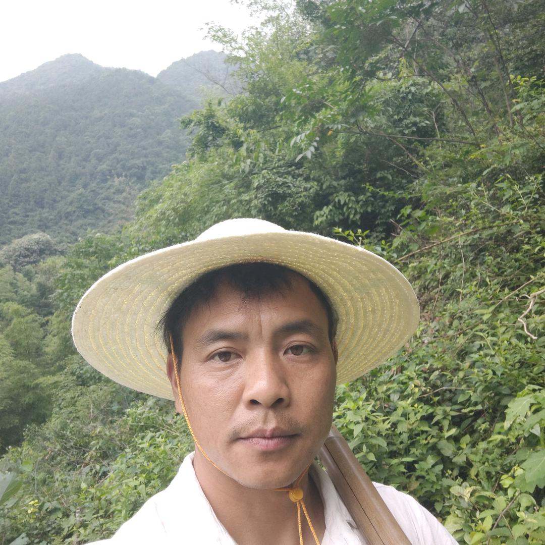 农村讲植物养生