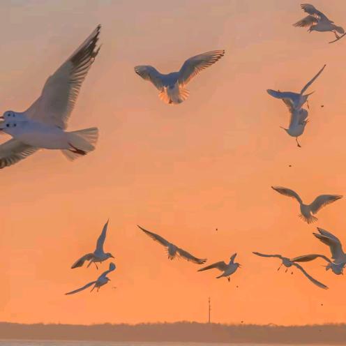 武汉市武昌区薛雪道百货店（个体工商户）