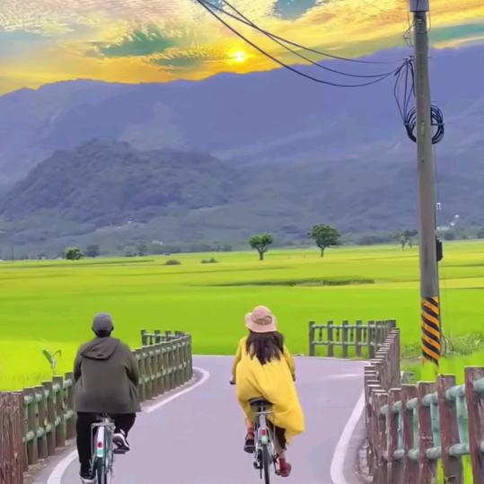 水清浅
