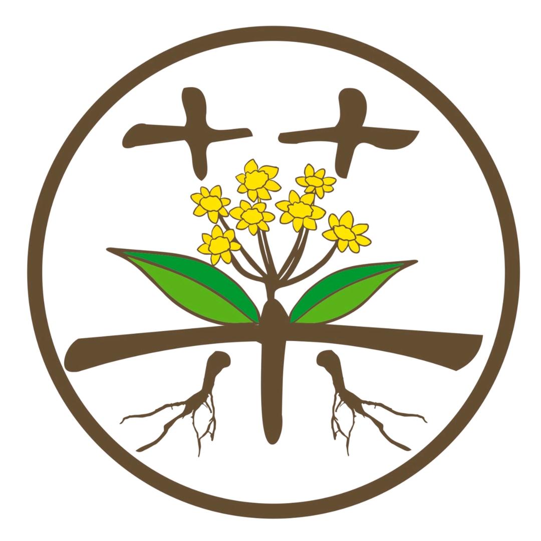 @药材→_→王志强