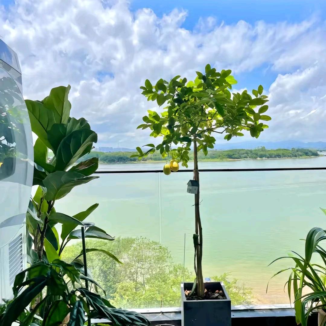 快快乐乐每一天