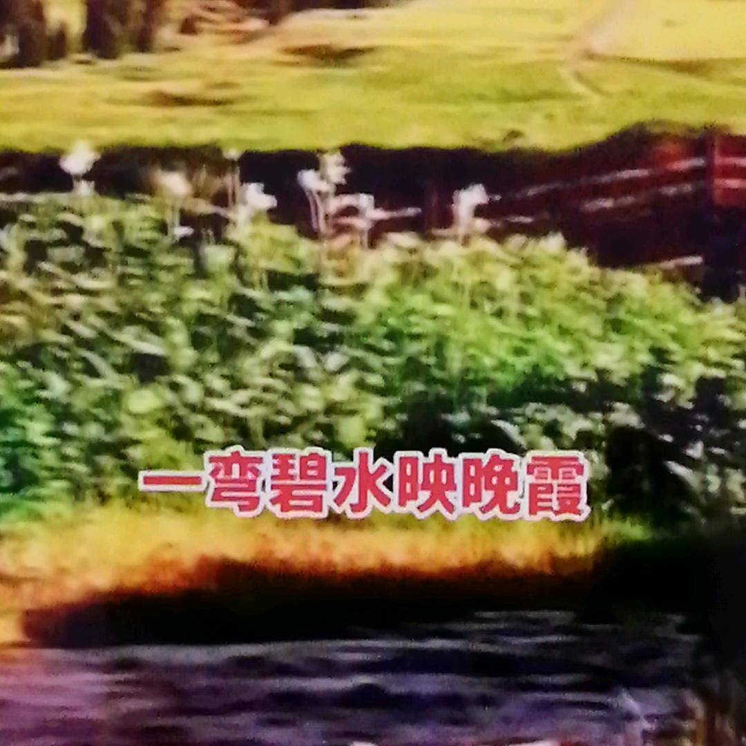 美食大使