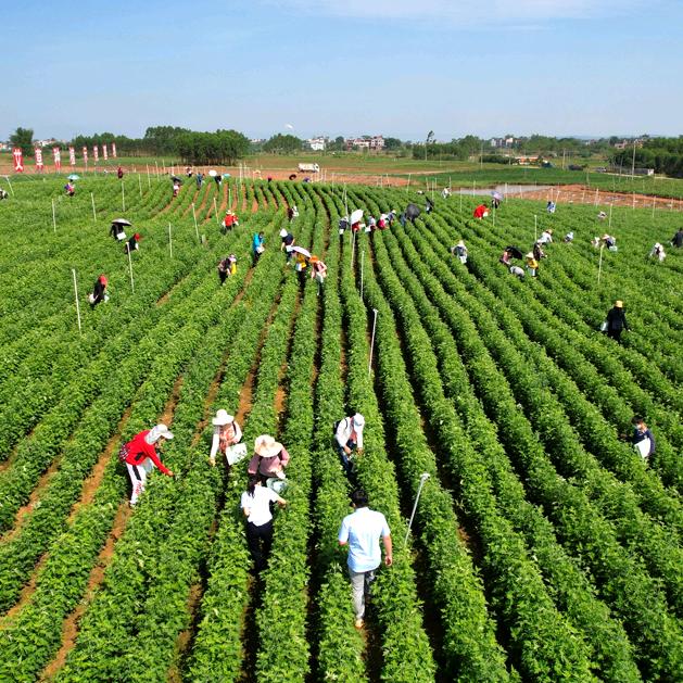 桂艾科技甄选店