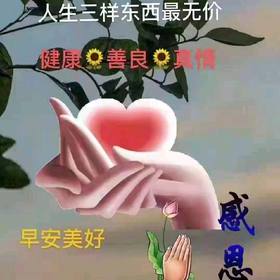 ꧁遺莣꧂