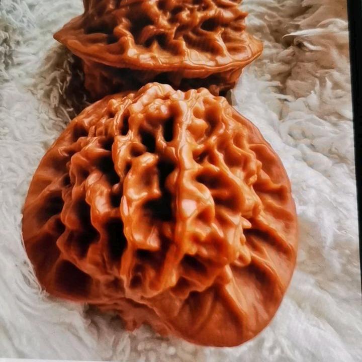 小张龙纹核桃