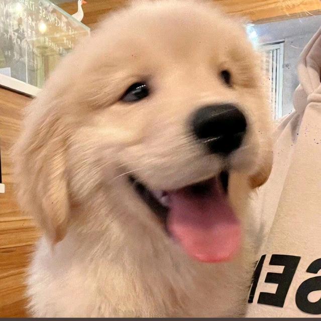 瘸子好腿往死踹