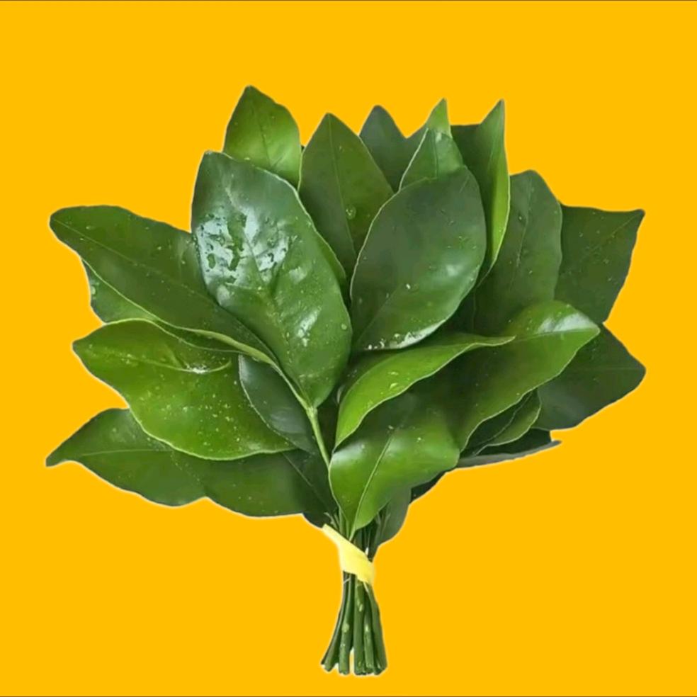 厶柒⁵²º࿈༻