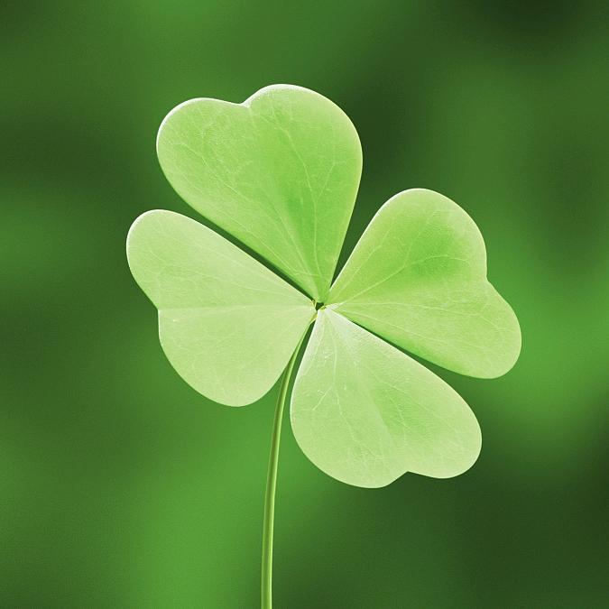 海口市秀英区嘉虹校外托管服务中心