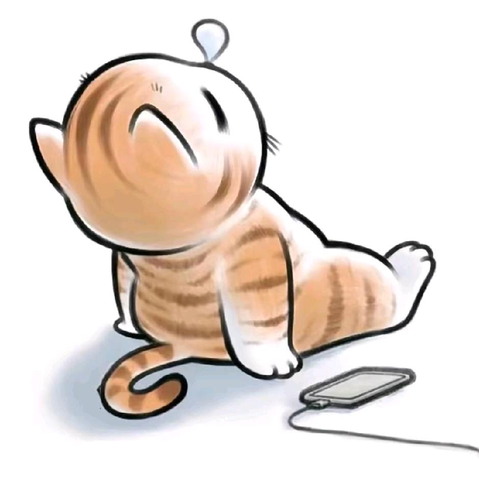 33333333